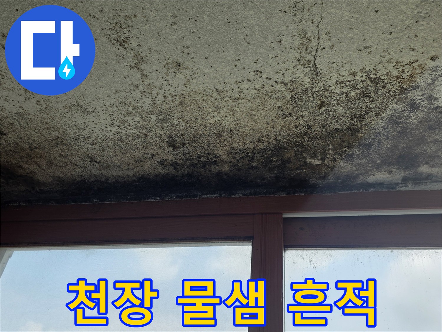천장-마감재에-생긴-심한-곰팡이와-물자국