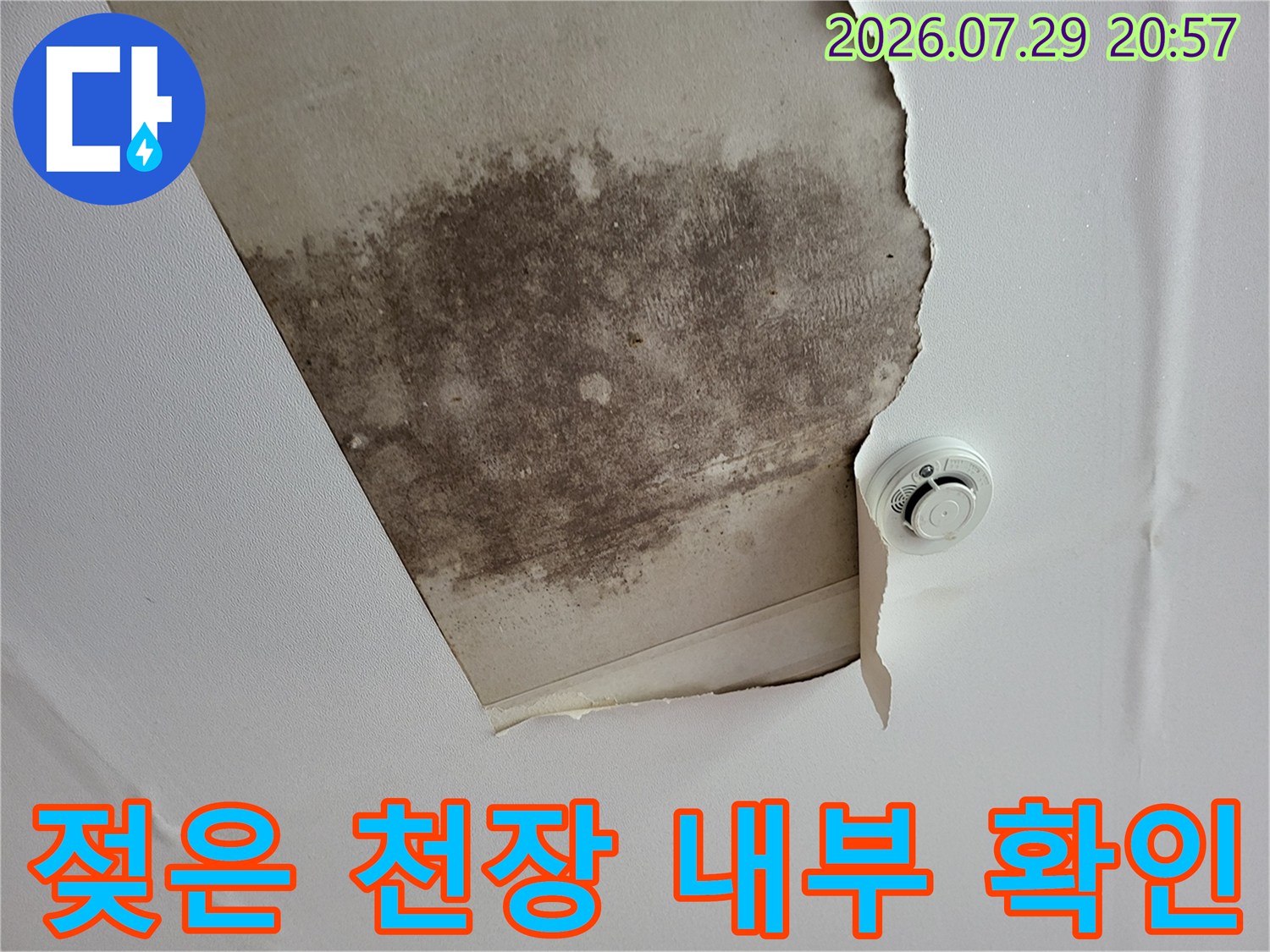 천장 마감재를 뜯어내고 누수로 인한 얼룩과 곰팡이를 노출시킨 사진