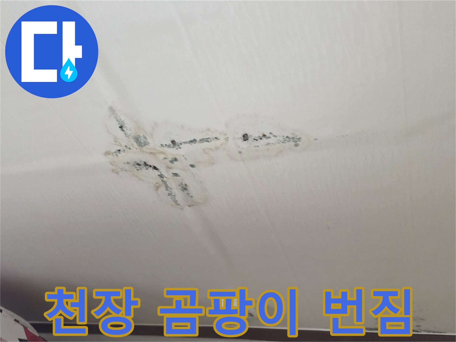 천장 마감재 부위에 발생한 곰팡이와 습기 흔적