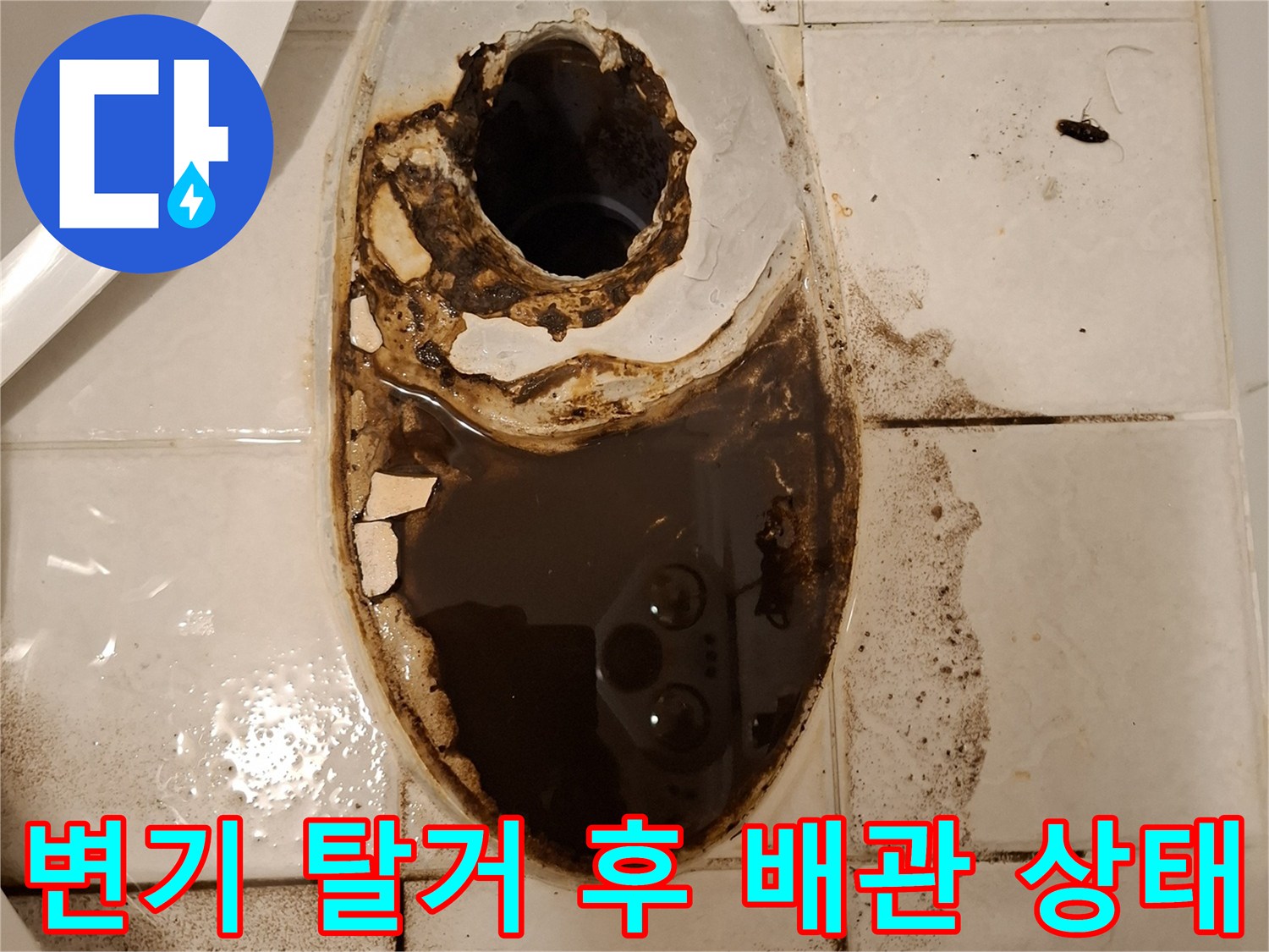 변기를 탈거한 후 드러난 검게 오염된 오수 배관 주변의 모습