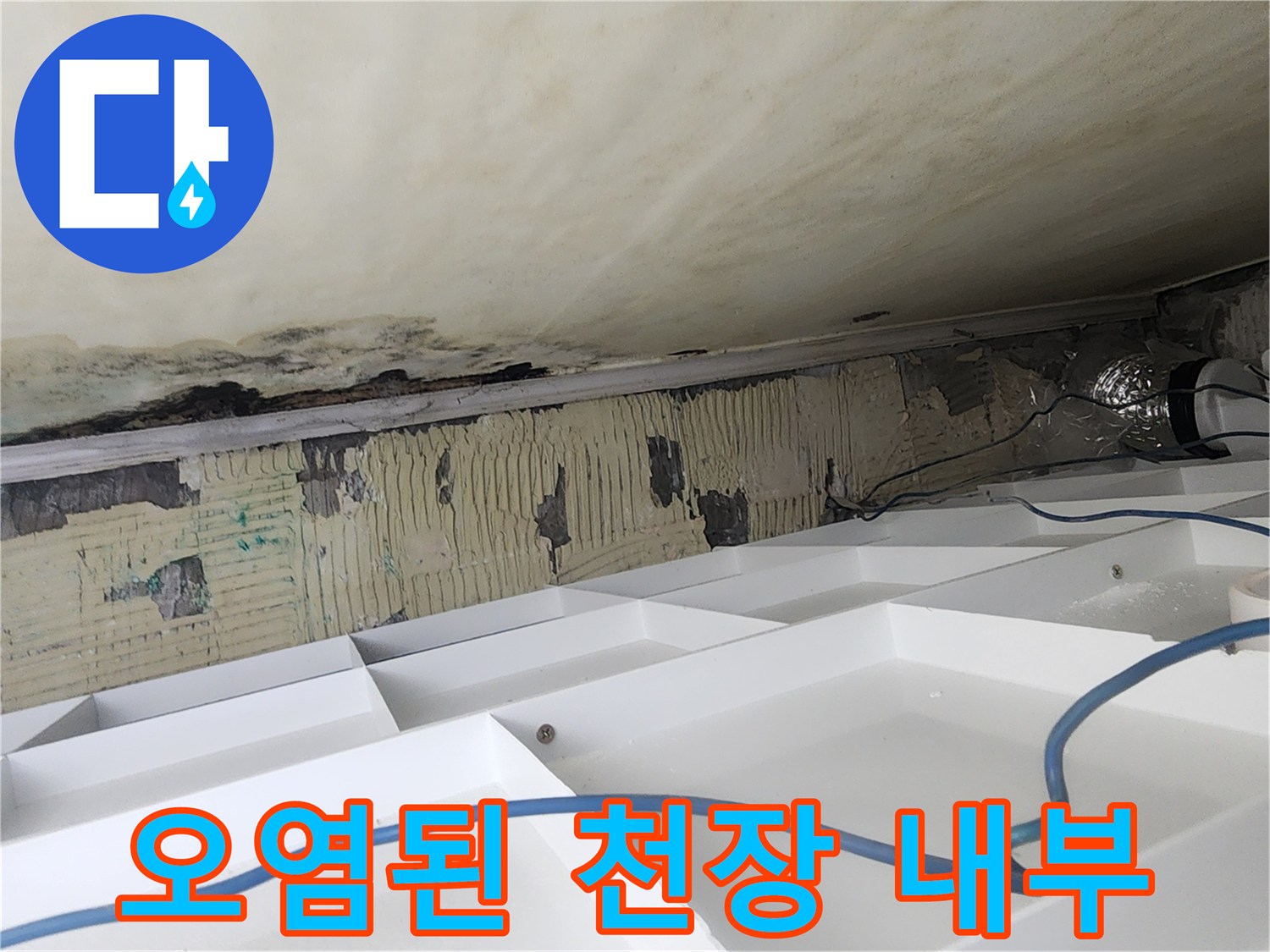 곰팡이와-물자국으로-오염된-아파트-욕실-천장