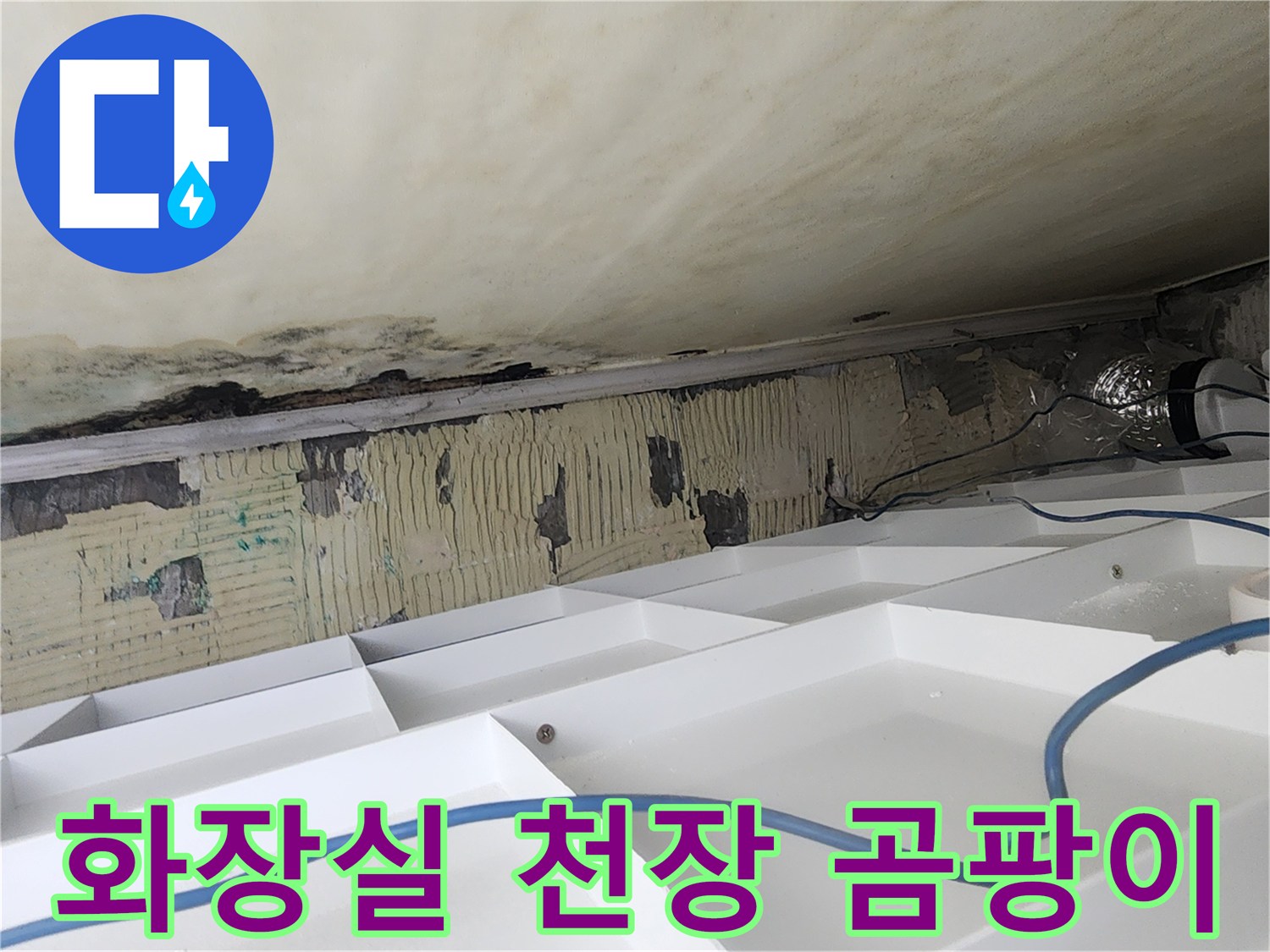 안양 비산동 아파트 화장실 천장 슬라브의 곰팡이와 물자국 현상