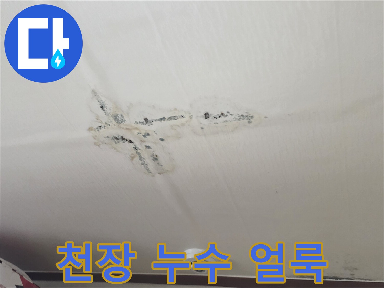 물샘 현상으로 인해 곰팡이가 발생한 천장 마감재