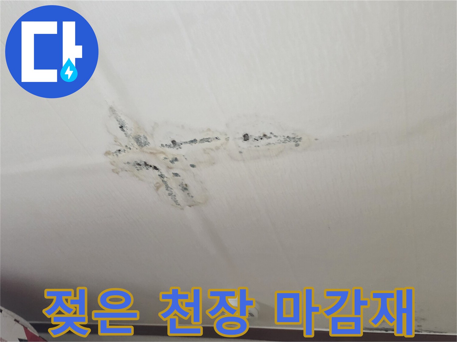 천장 벽지가 젖어 발생하는-곰팡이와 물자국 현상