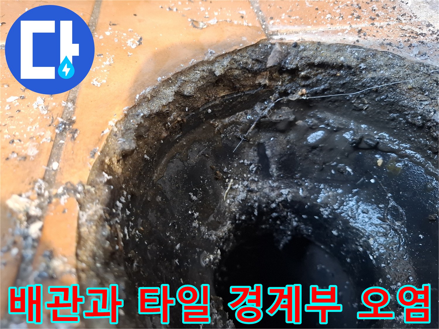 타일-경계-및-배수관-주변-오염물질-확인