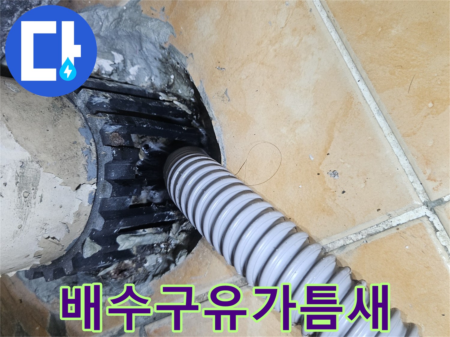 세탁기-배수호스-연결부-유가-주변-균열-점검