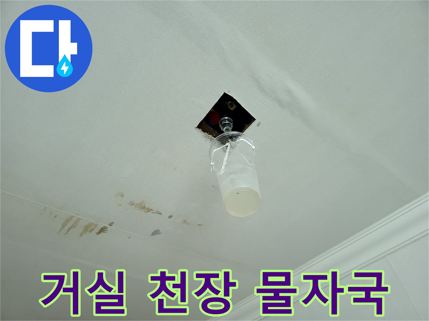 분당 아파트 거실 천장에 발생한 누수 흔적과 얼룩 상황