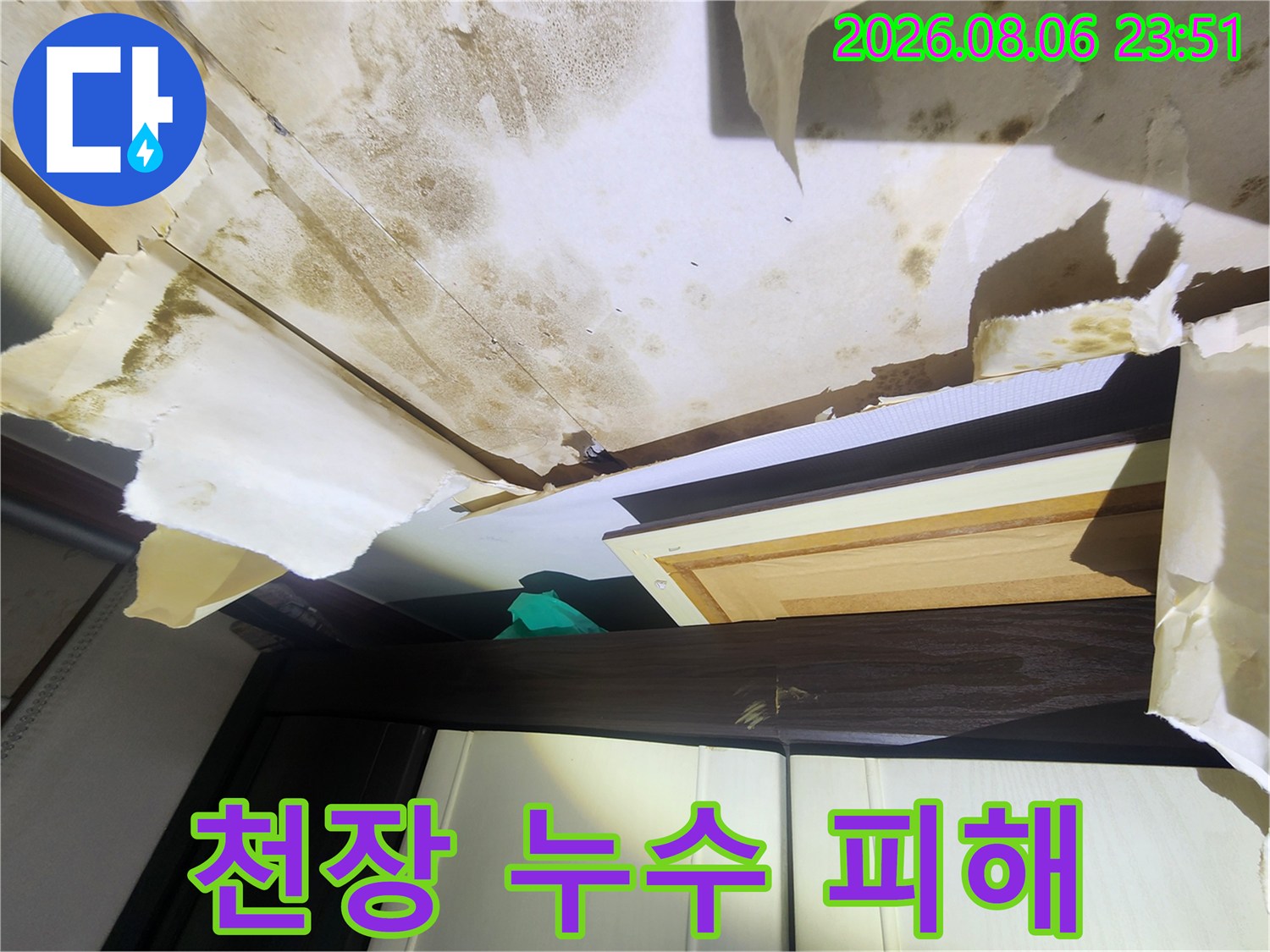 물샘 현상으로 인해 곰팡이가 생긴 천장 벽지 내부 점검 모습입니다.