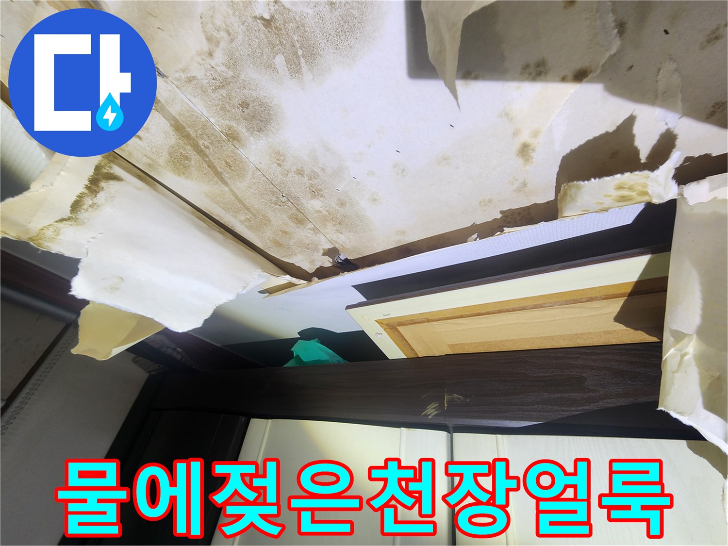중랑구-면목동-아랫집-거실-천장-벽지-오염-및-곰팡이-상태