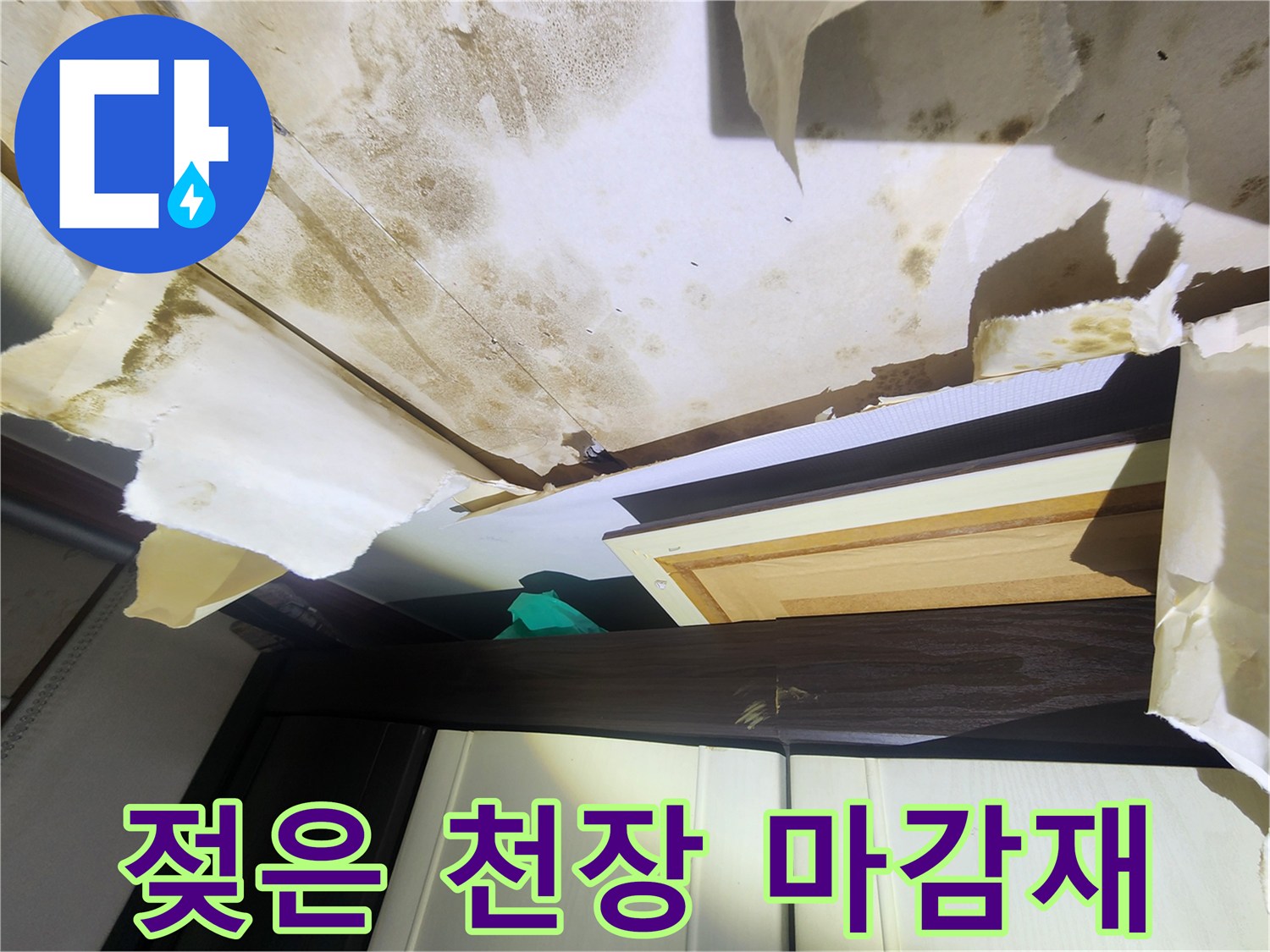 훼손된 천장-누수로 인해 곰팡이가 생긴 도배지 상태