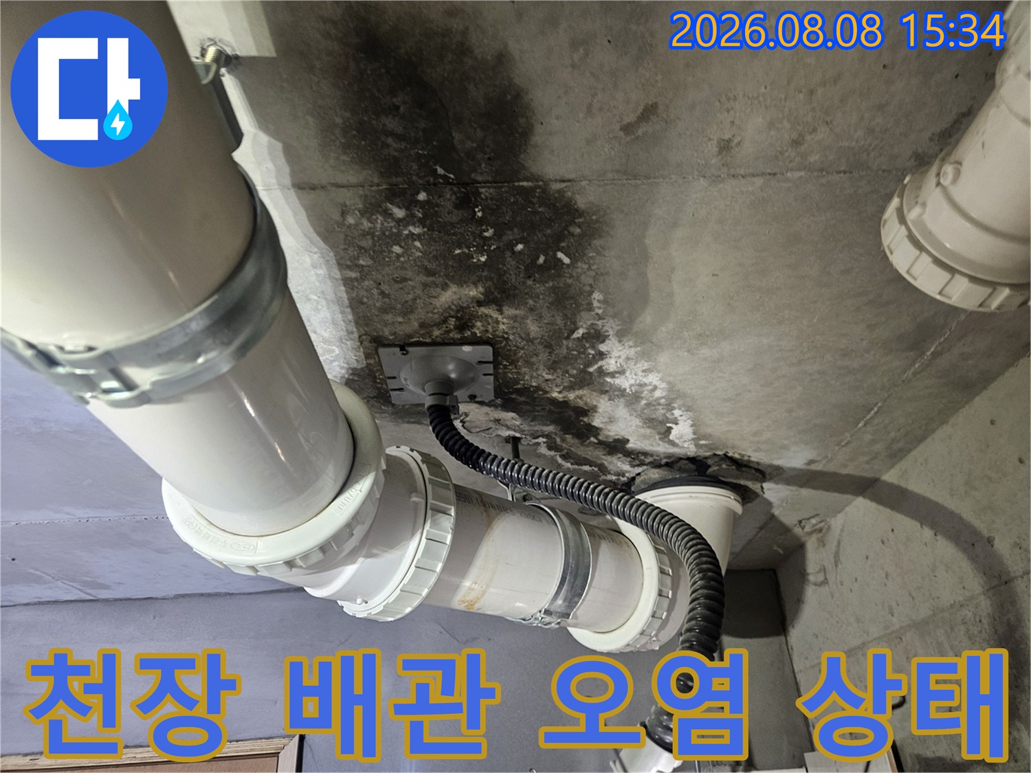고양시 덕양구 화장실 천장 슬래브의 배관 주변 곰팡이 및 오염 현황