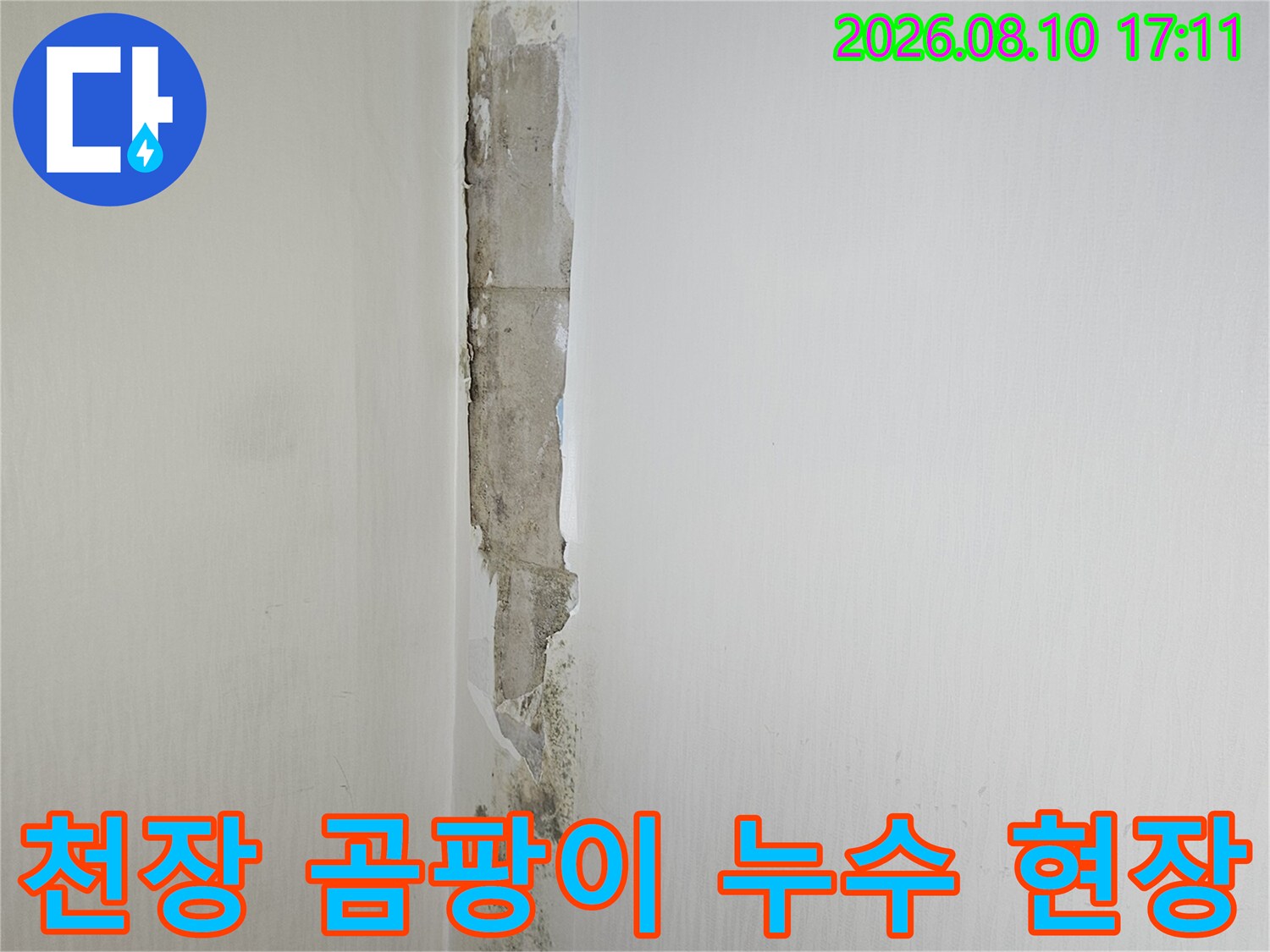 누수로 인한 오염과 곰팡이가 발생한 천장 경계 부위 사진