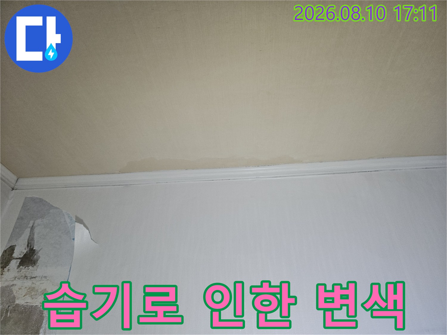 물기가 스며들어 벽지가 젖고 들뜬 아파트 벽면 사진입니다.
