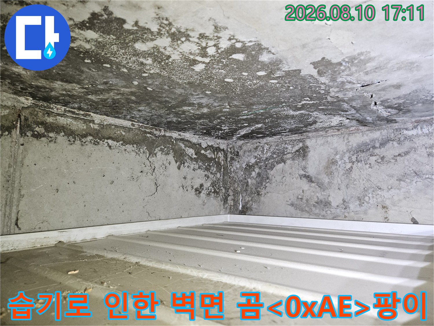 습기와 곰팡이가 발생한 화장실 천장 내부 콘크리트 면