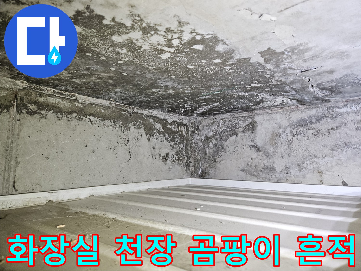일산동구-화장실-천장-벽면의-습기와-곰팡이-발생-상태
