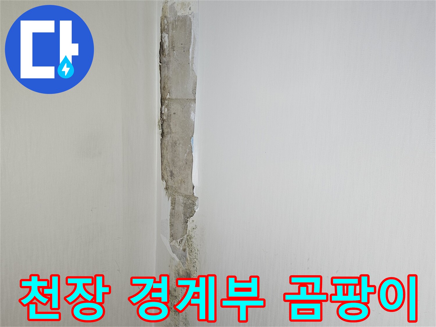 천장-및-벽면-접합부의-심한-곰팡이-오염
