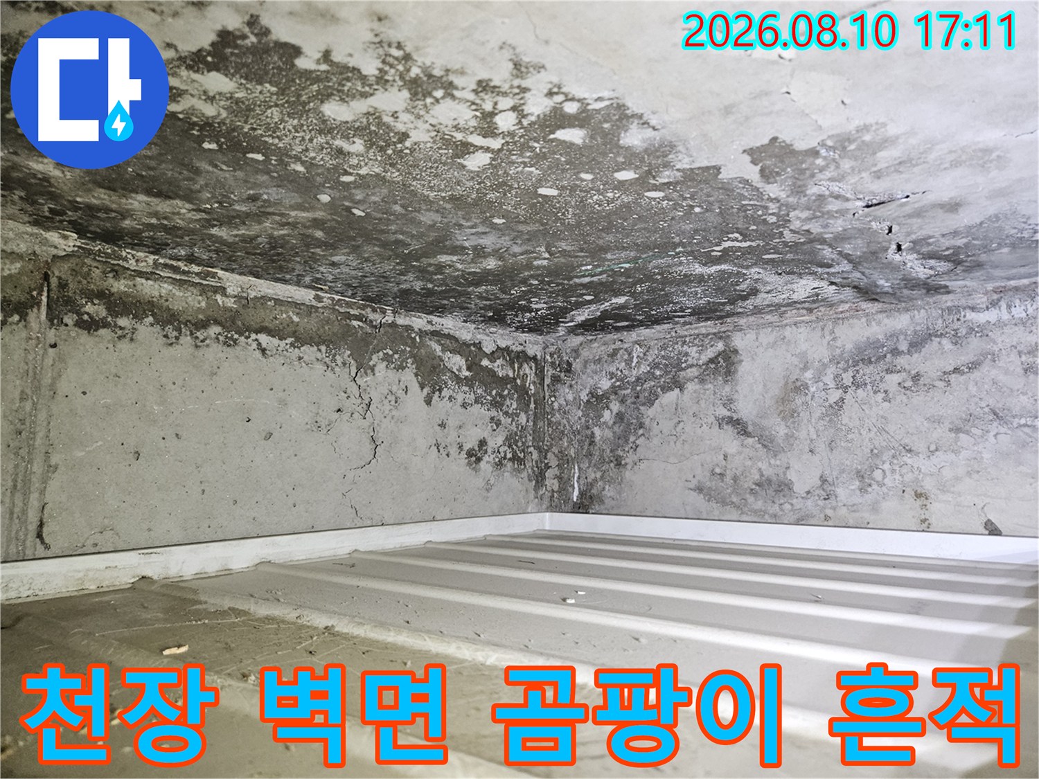 축축하게 젖은 콘크리트 벽면과 천장 하단에 번진 곰팡이 자국