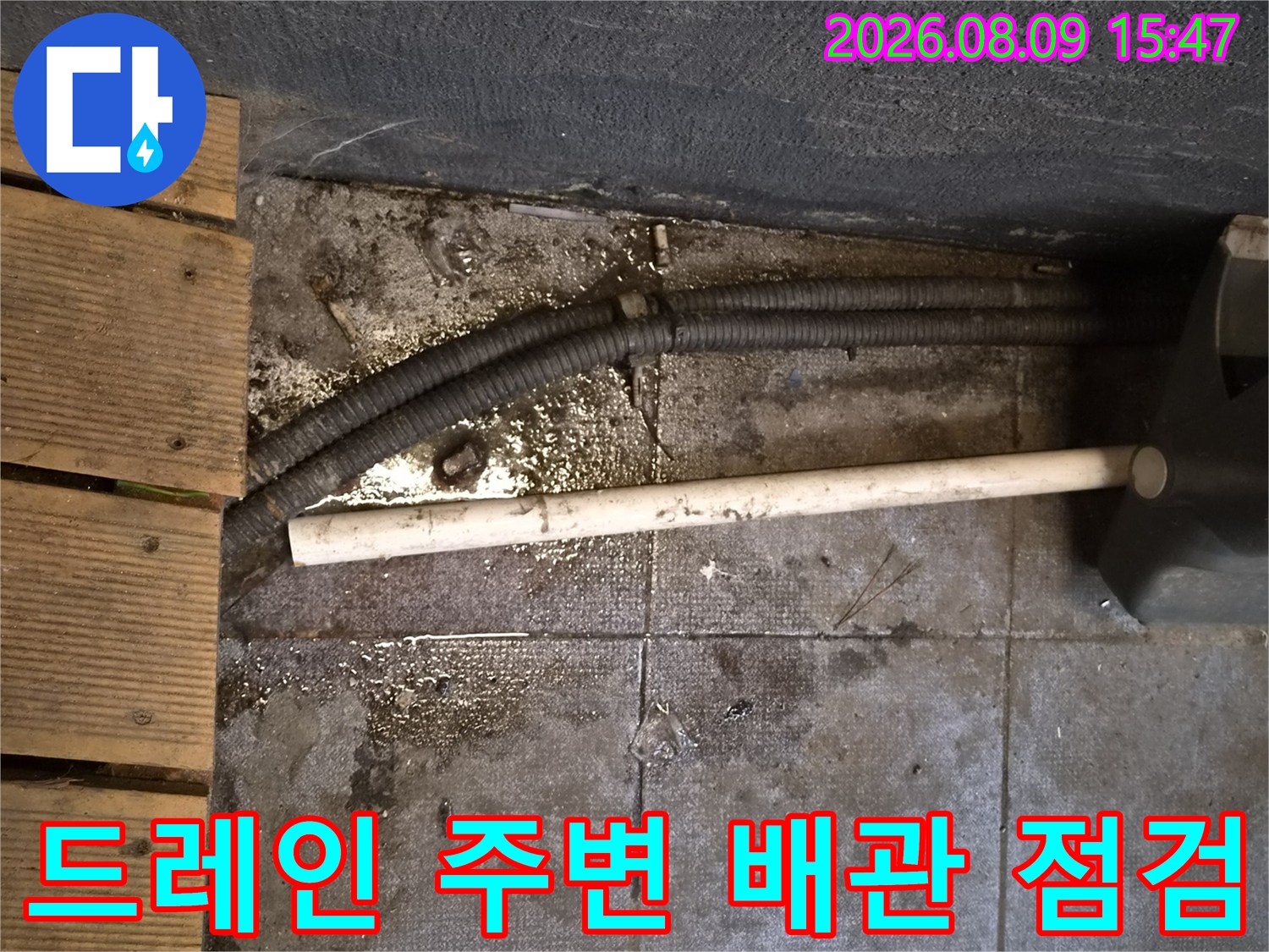 식당 바닥에 설치된 노출 드레인과 하수 배관의 상태를 촬영했습니다.