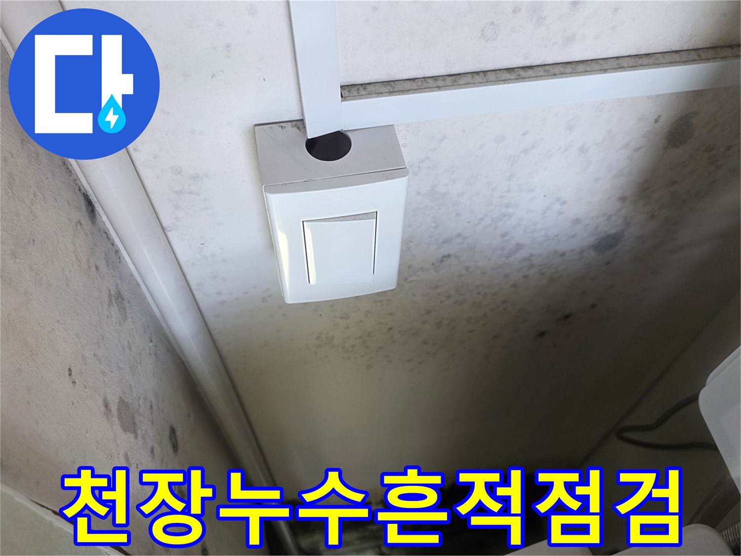 천장-구석-벽면에-나타난-심한-습기와-곰팡이
