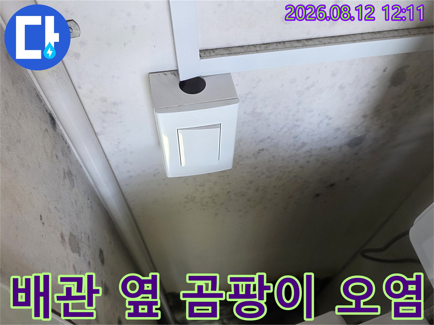 하얀색 배관과 스위치 주변 벽면에 나타난 검은 곰팡이와 습기 흔적입니다.