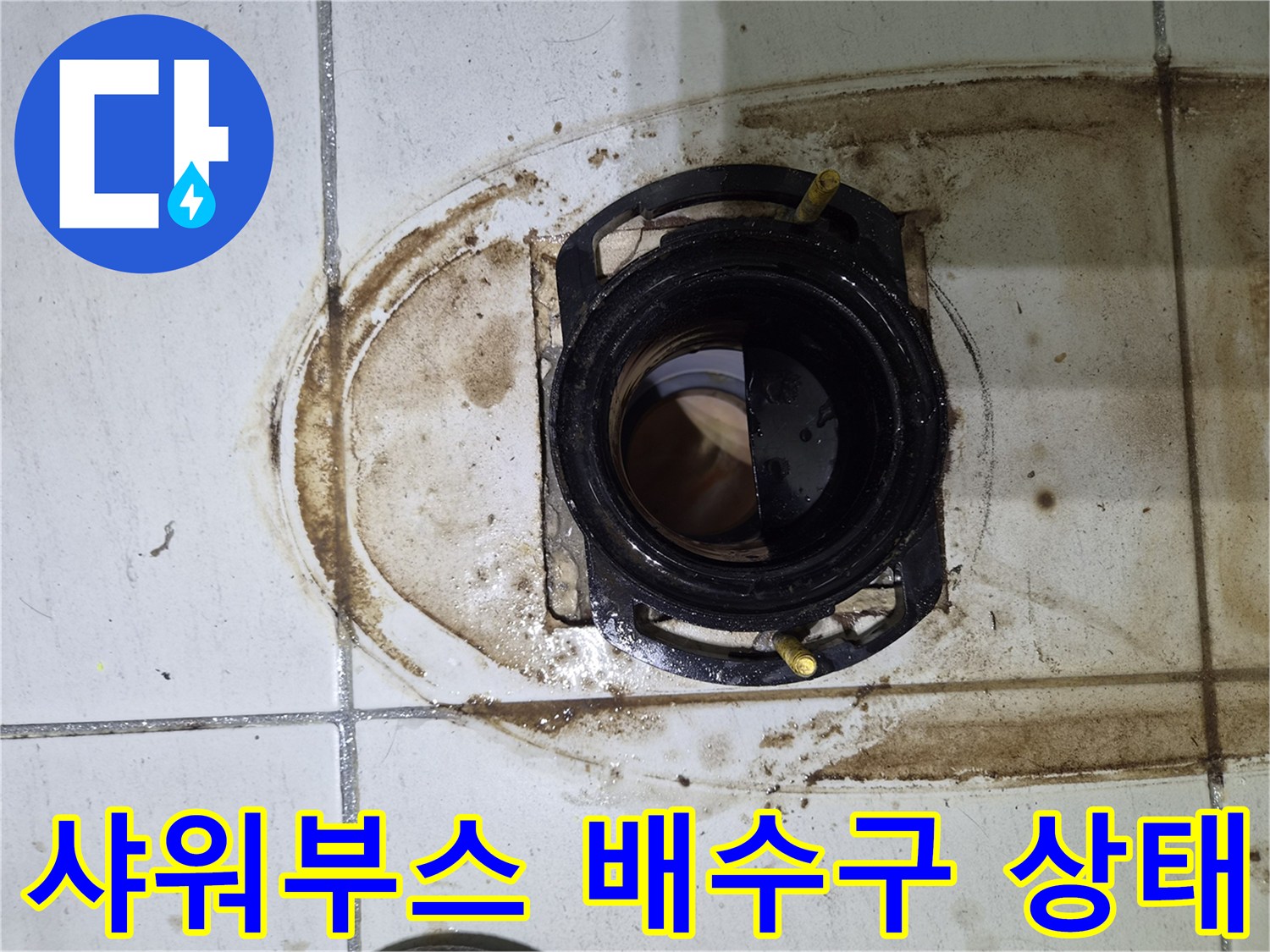 화성향남-샤워부스-배수구-주변-오염-상태
