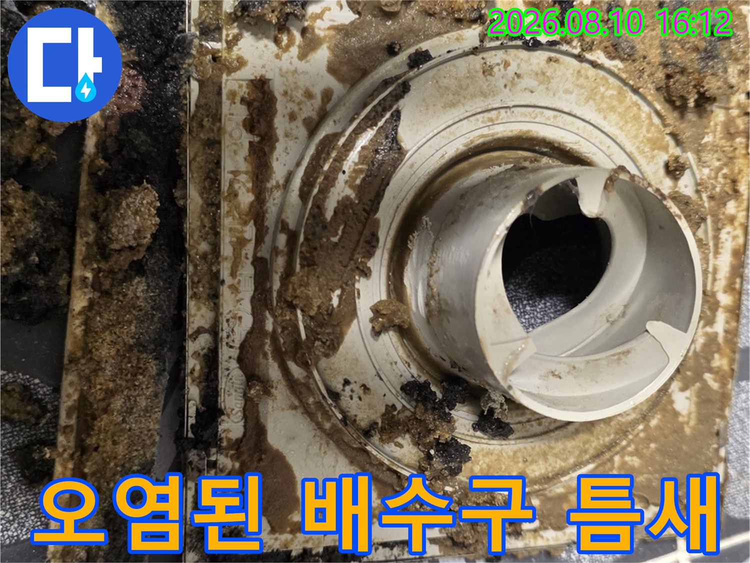 이물질과 오염물이 가득한 욕실 배수구 내부 구조