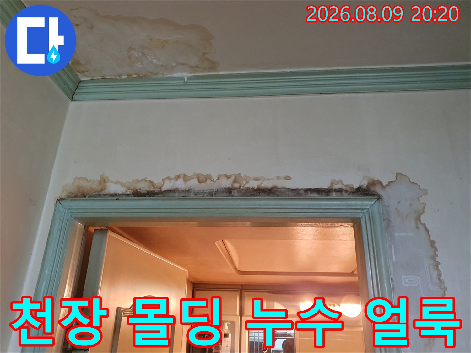 천장 모서리 부분-넓게 퍼진 물자국과 젖은 벽지 상태