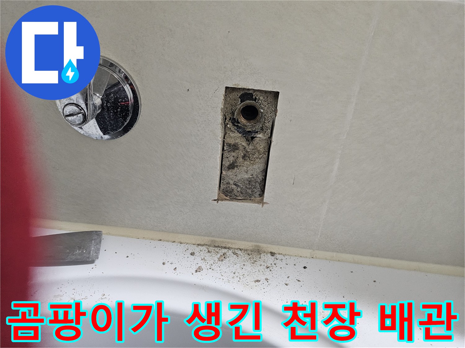 천장 마감재와 배관 주변의 곰팡이 오염 상태
