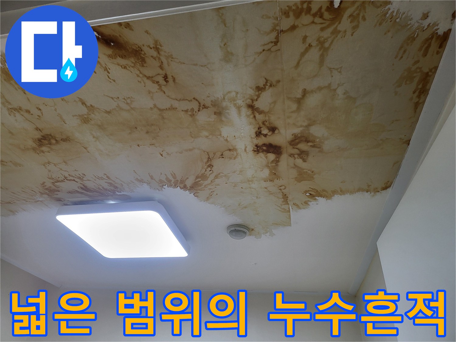 천장 면 전체에 퍼진 누수 변색 부위