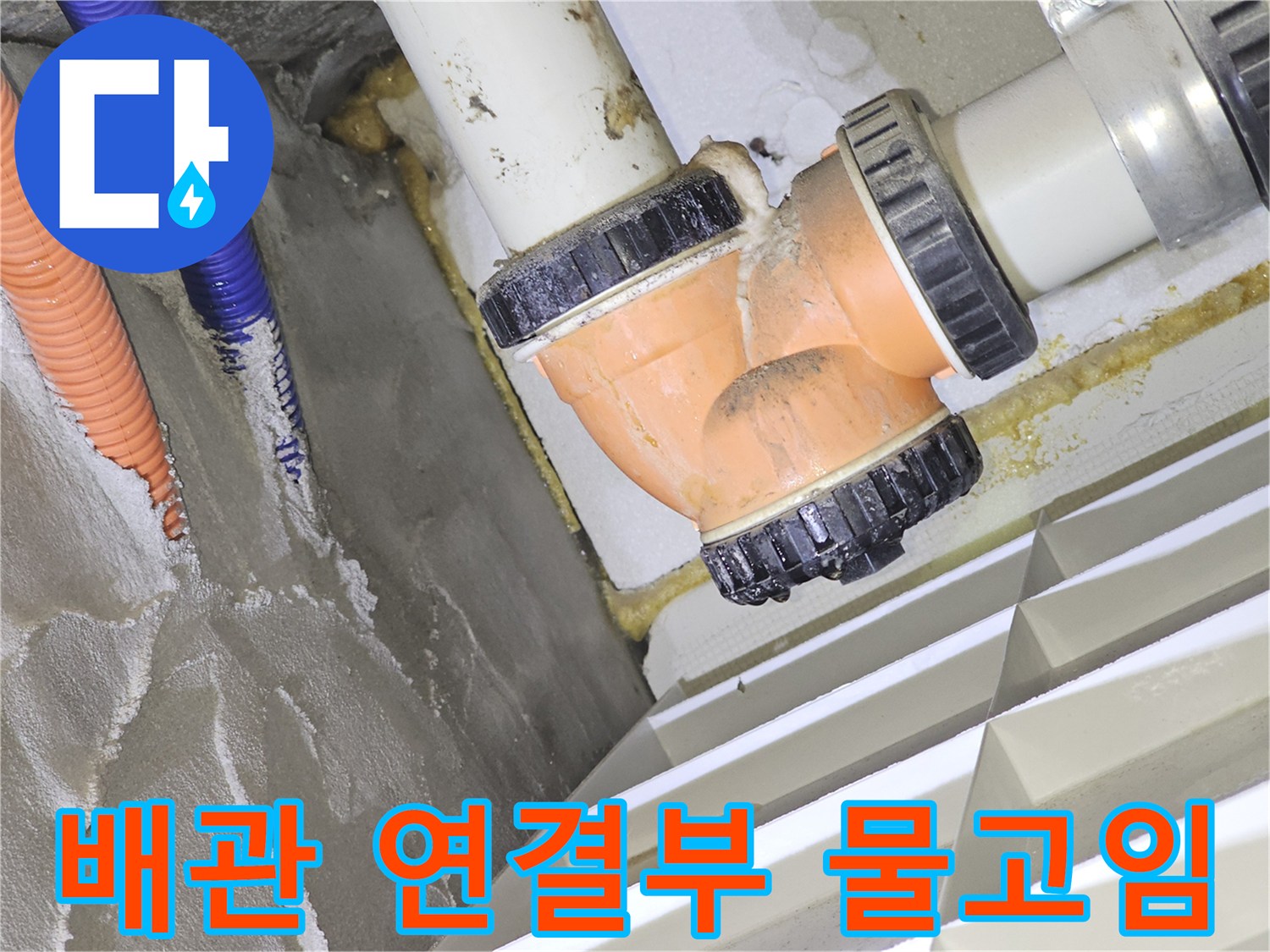 하수도-연결-부위-물고임-및-습기-발견