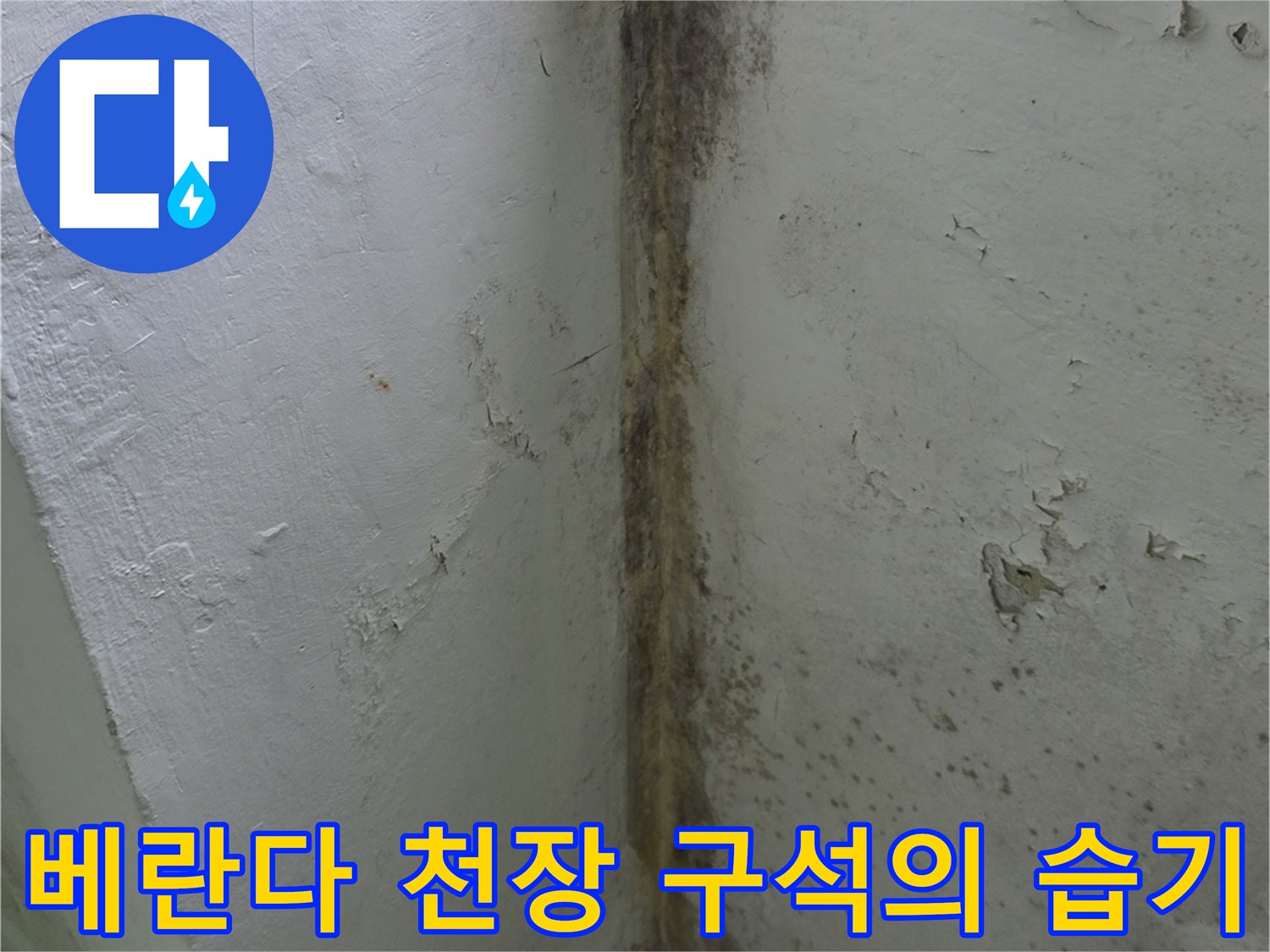 천장과-벽면-경계선에-곰팡이가-심하게-피어있는-누수-현장-사진
