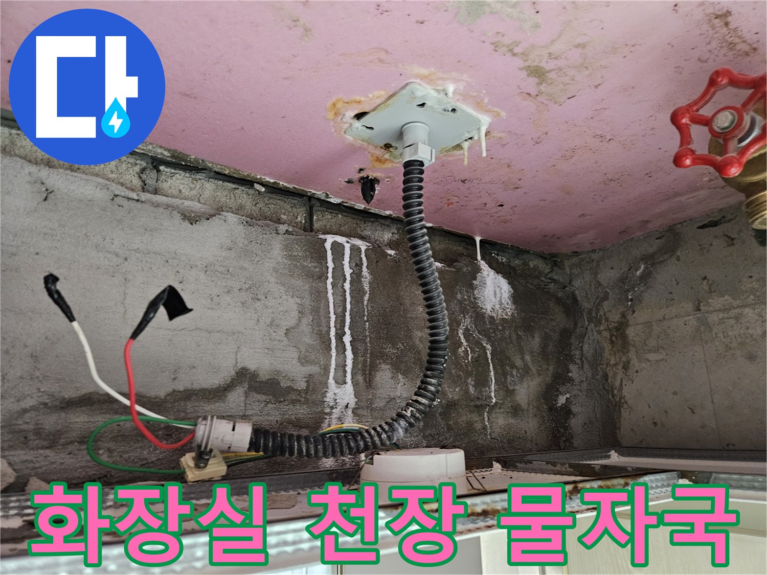 양주 옥정동 화장실 천장 배관 주변의 하얀 석회물 자국