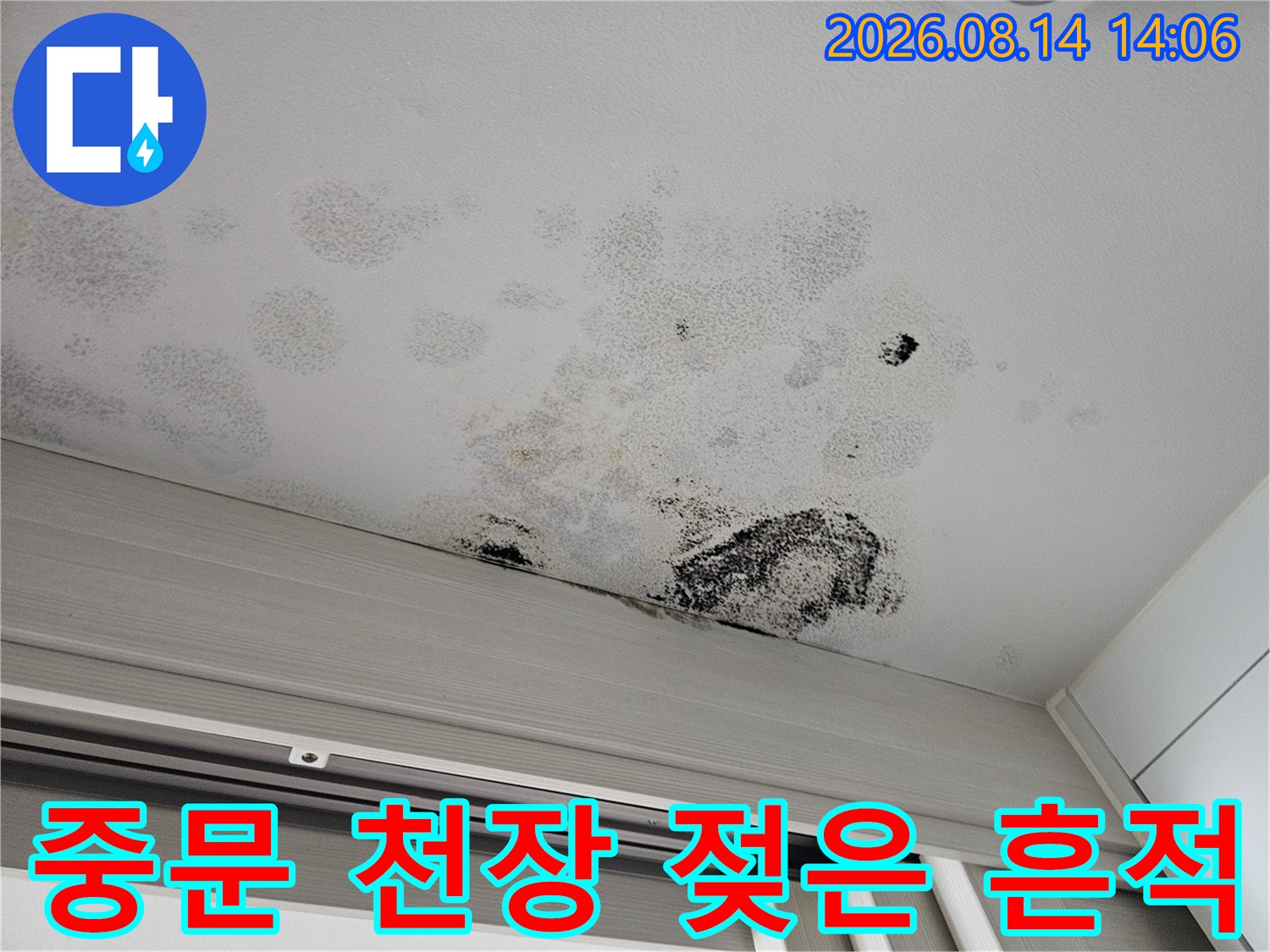 습기로 인해 변색되고 곰팡이가 피어오른 아파트 천장 마감재
