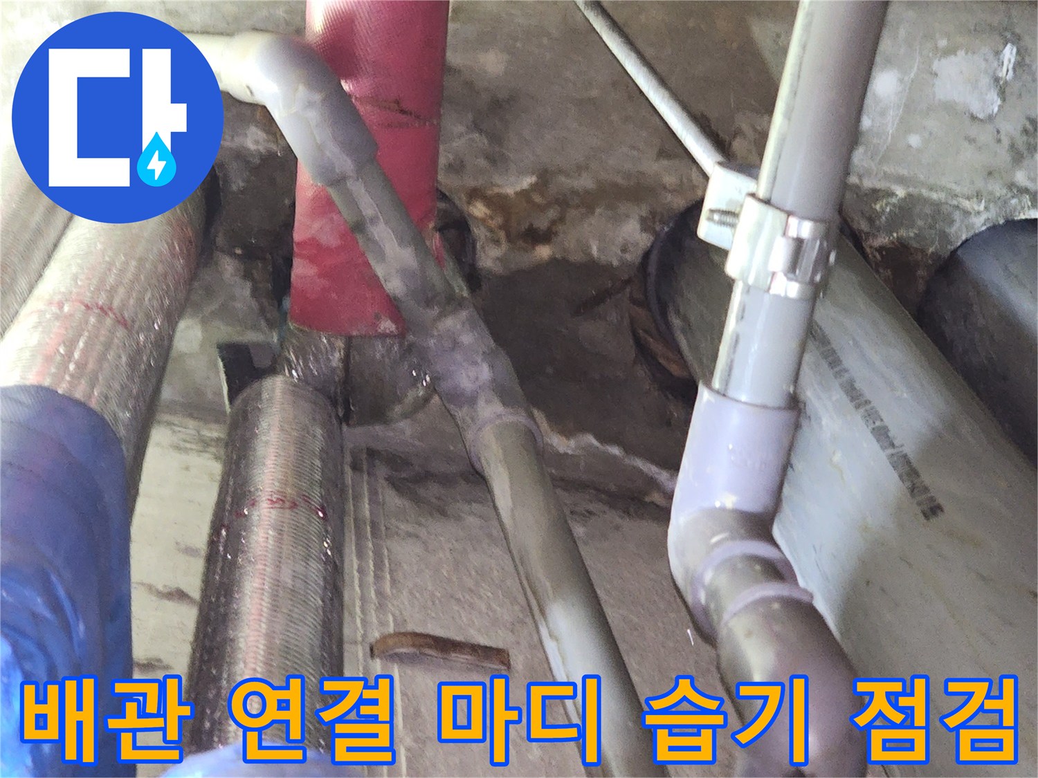 상동-현장-천장-내부-배관-연결-상태-조사