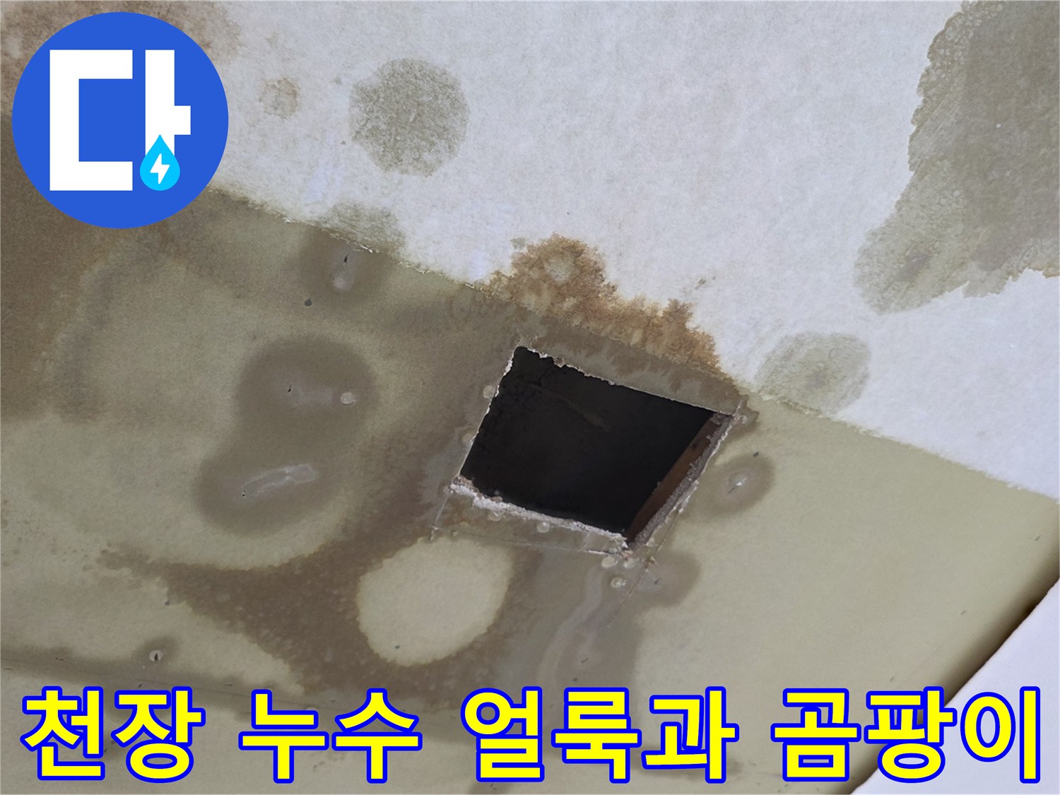 상가주택-천장부위에-발생한-심한-물자국과-곰팡이-현황