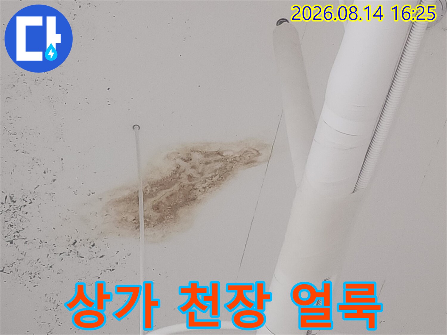 고양시 덕양구 상가 천장의 배관 주변 누수 흔적과 변색된 얼룩 상태
