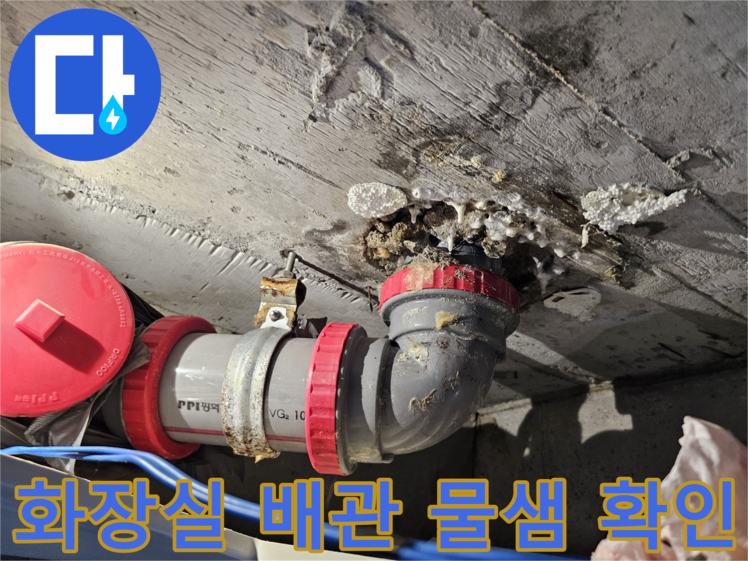성북구 돈암동-화장실 천장 내부 하수 배관의 누수 지점 점검 상황