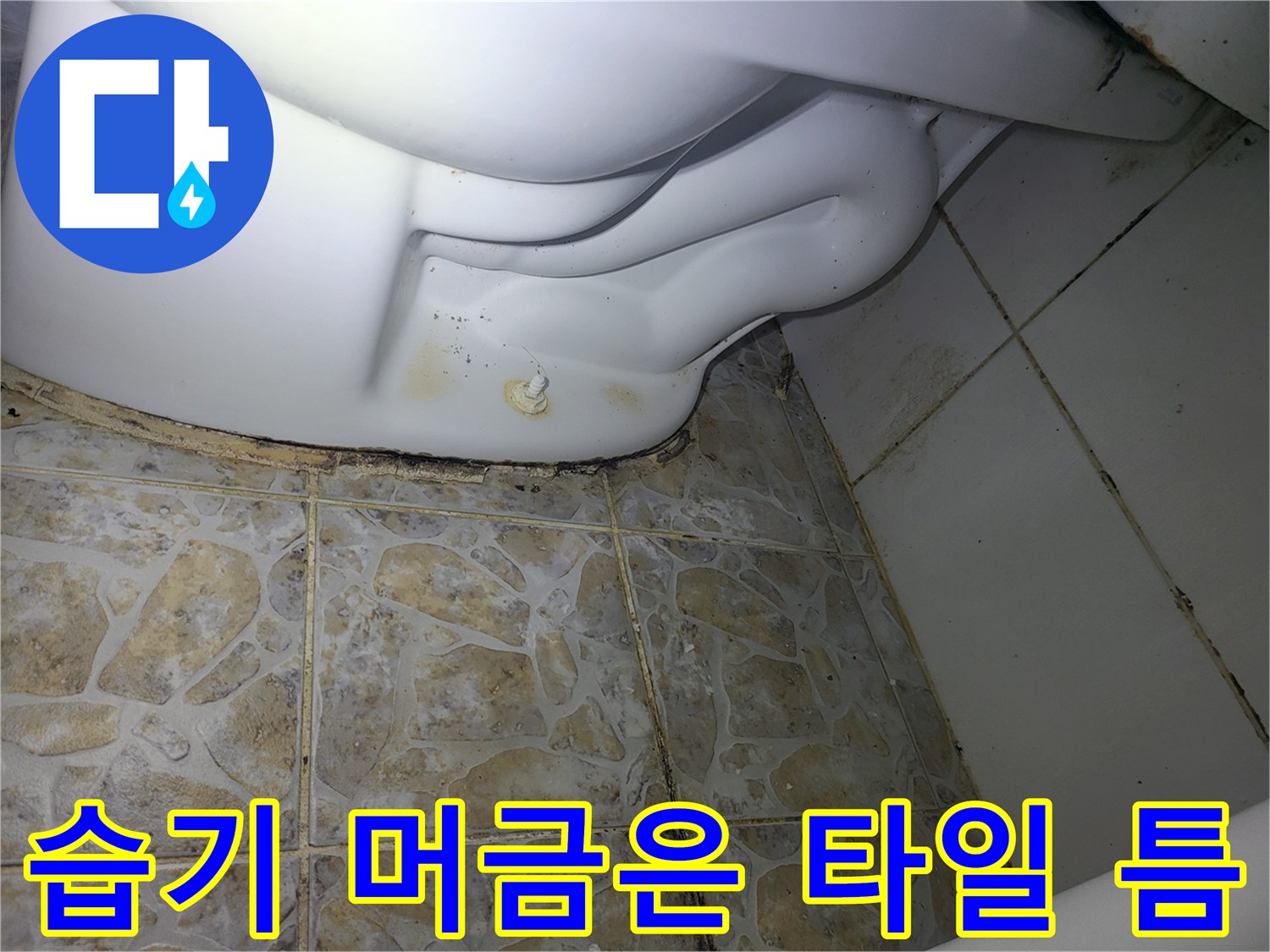 배관 연결부 주변 타일 줄눈의 변색된 오염 상태를 촬영한 사진입니다.