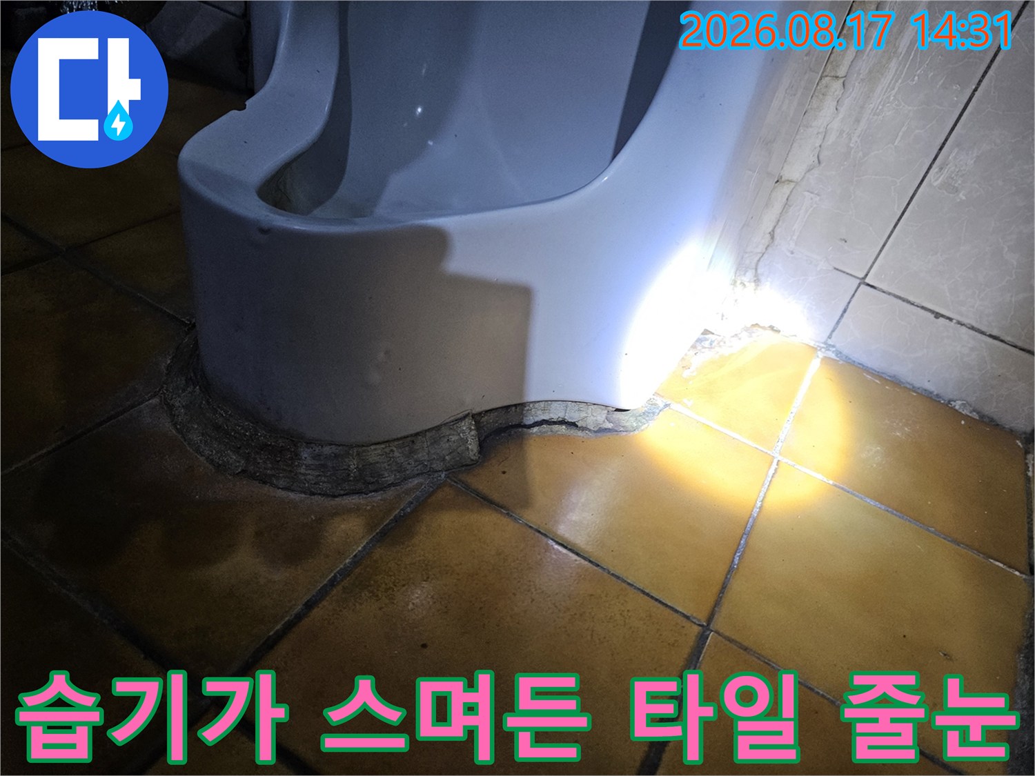 물기가 배어 나온 가락동 현장 천장 타일 틈새