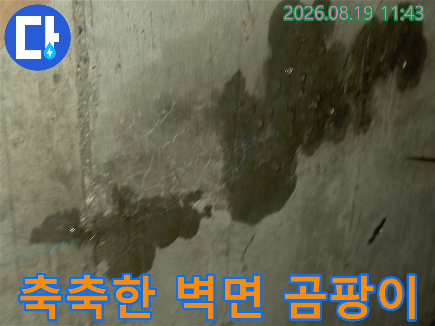 누수로 오염된 콘크리트-습기가 침투하여 발생한 곰팡이 얼룩