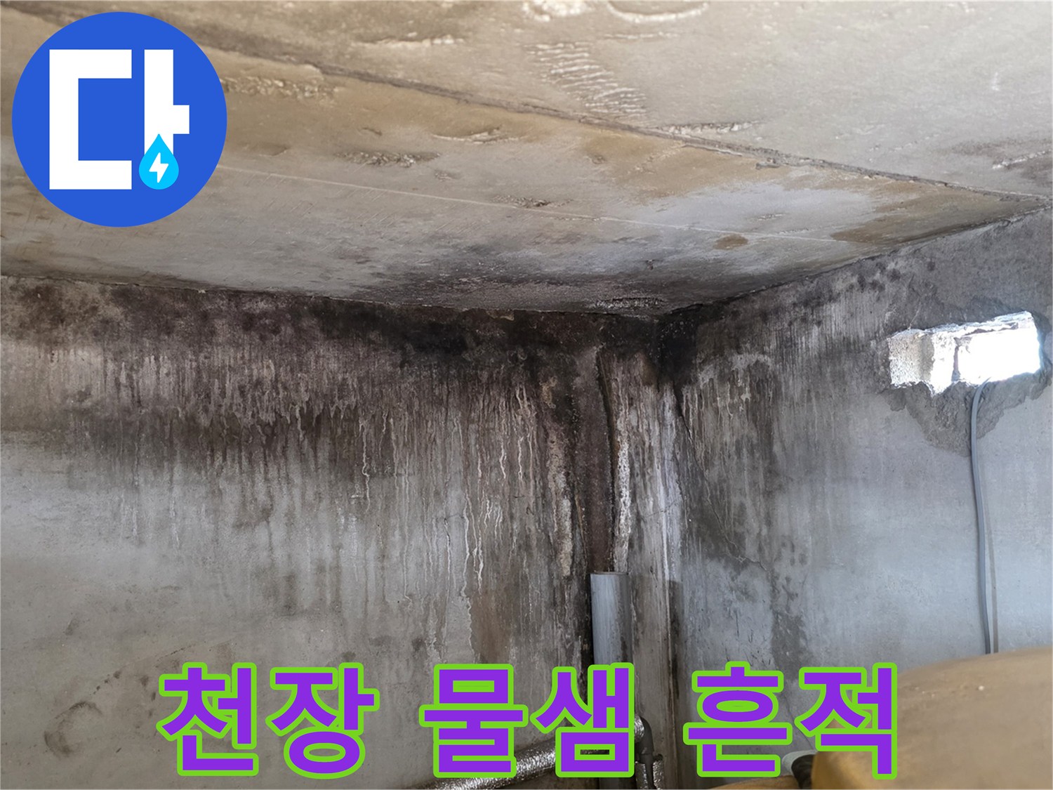 물기가 스며들어 얼룩진 천장과 벽면의 모습