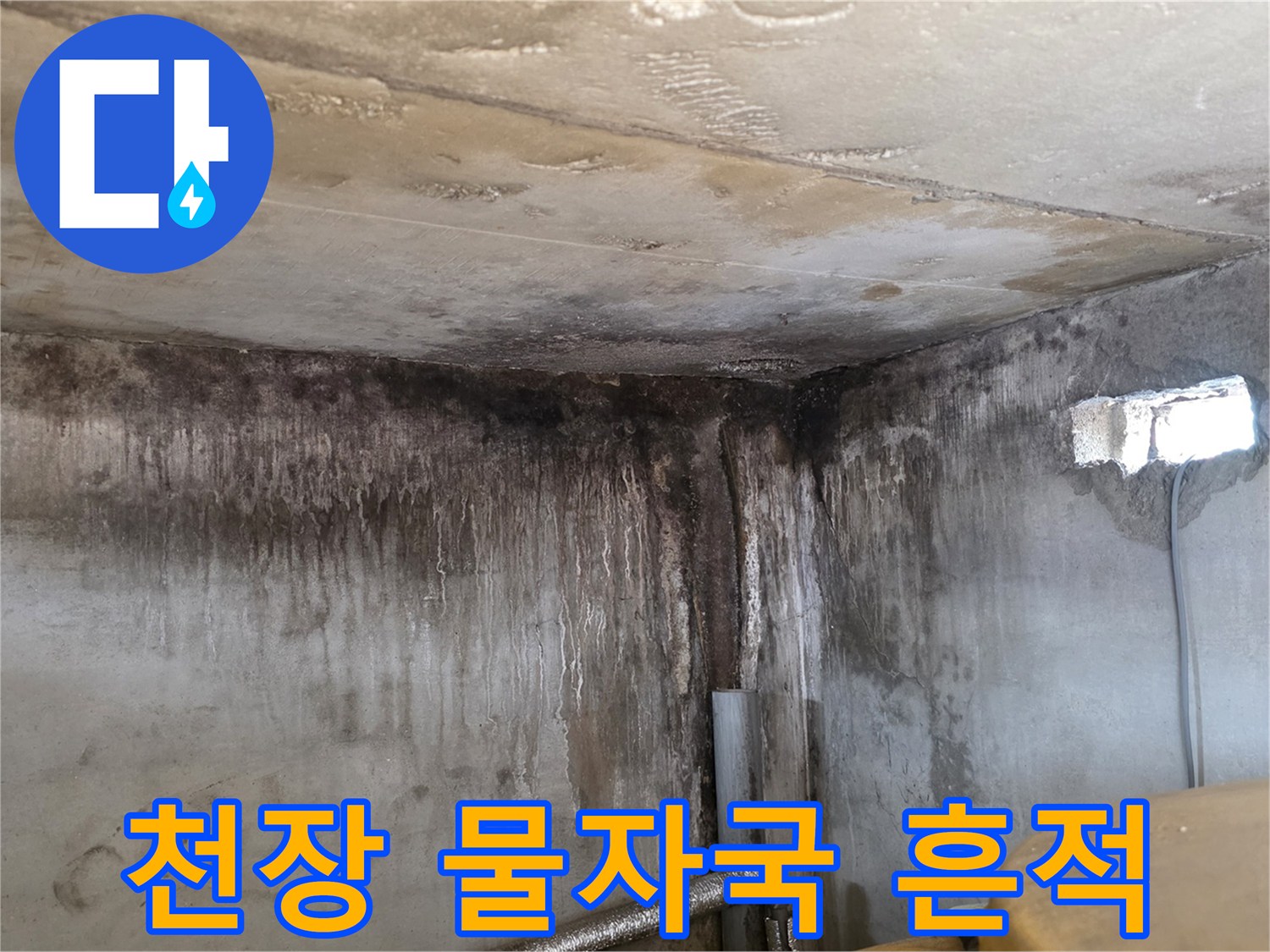 포천 신읍동 빌라 천장에 발생한 심한 습기와 물자국 현장