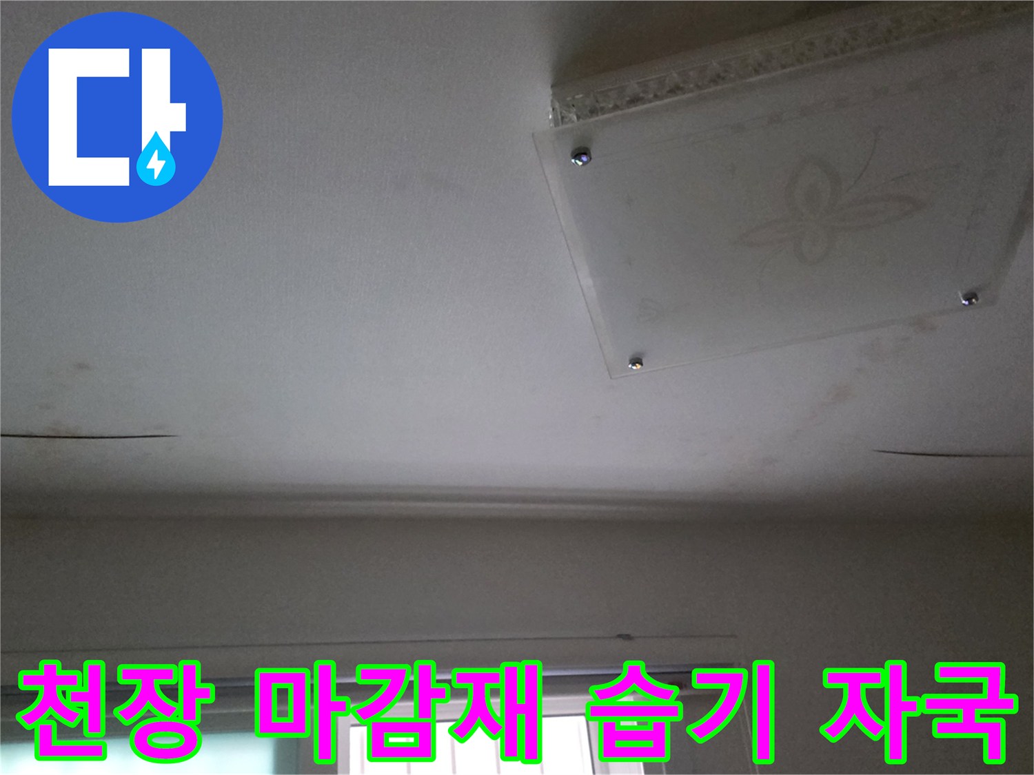 다산동 현장-천장 도배지 곳곳에 나타난 어두운 얼룩 부위
