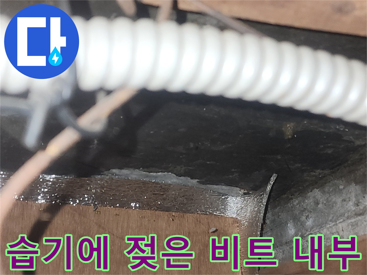 비트-내부-배관-주변의-습기-및-목재-상태-촬영