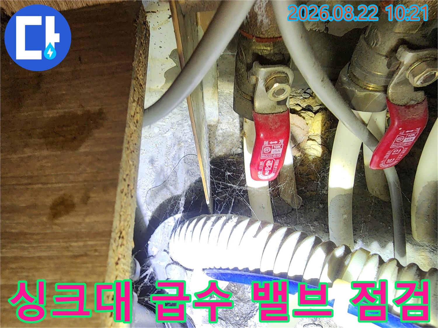 빨간색 손잡이가 있는 수도 밸브와 연결된 호스를 근접 촬영하였습니다.