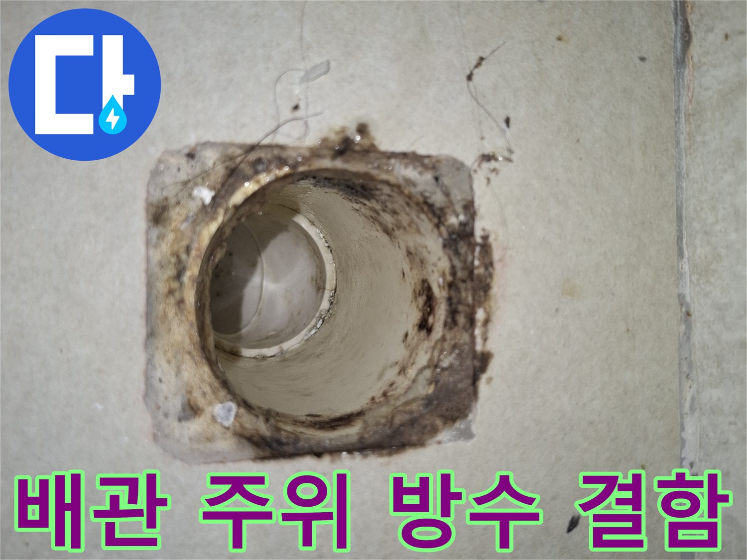배수구 주변 타일과 배관 사이의 틈새 현황