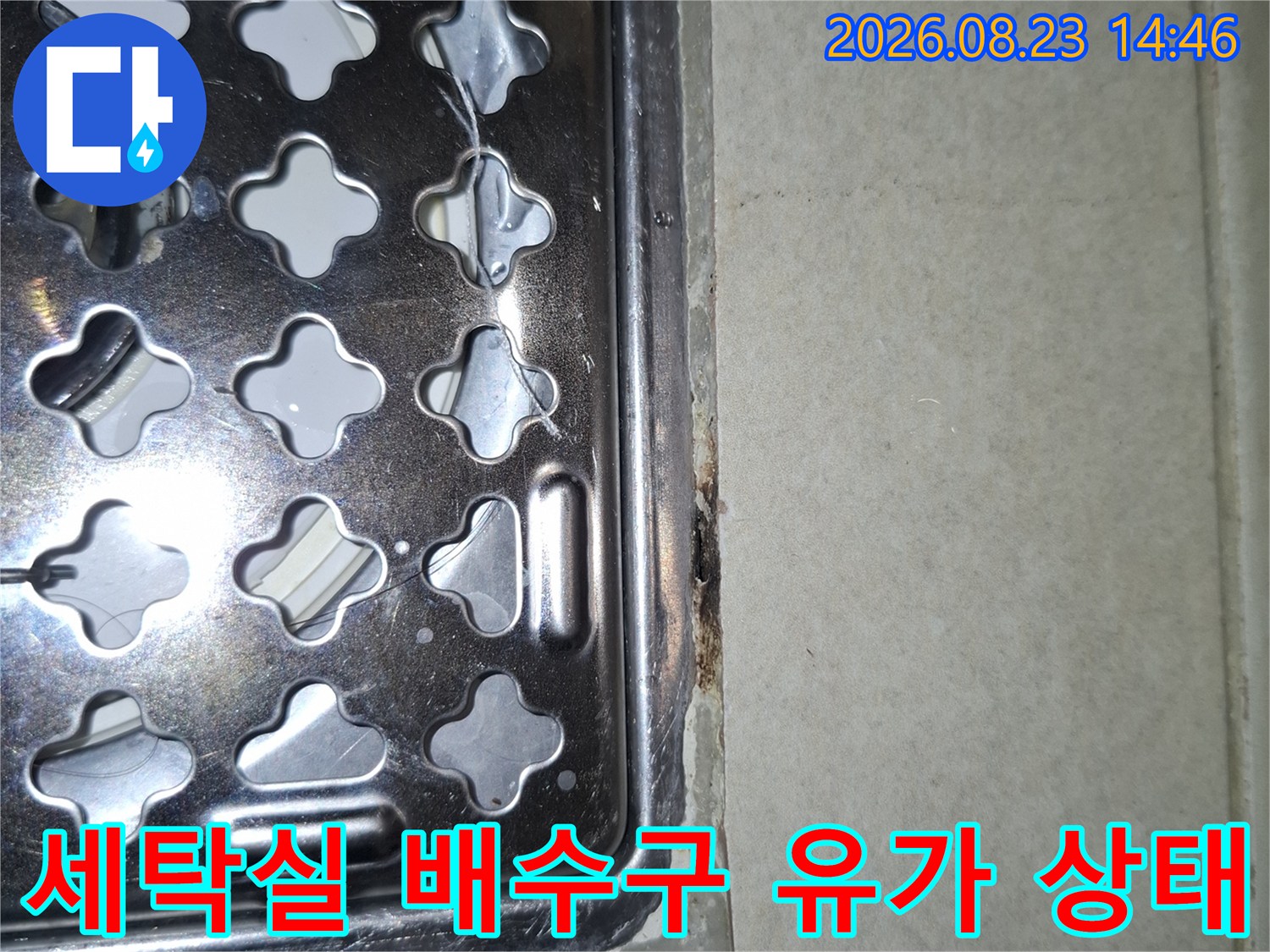 오염된 배수구 주변과 타일 접합부의 상세 사진입니다.