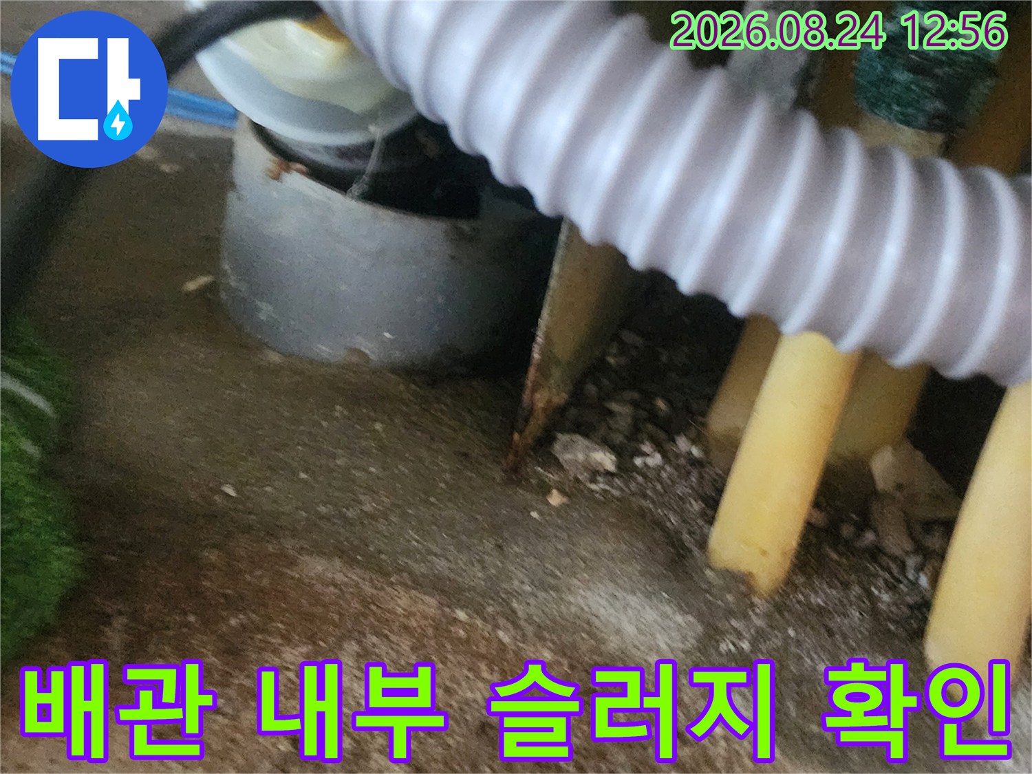 배관 입구 주변의 오염된 물과 이물질이 섞인 현장 모습
