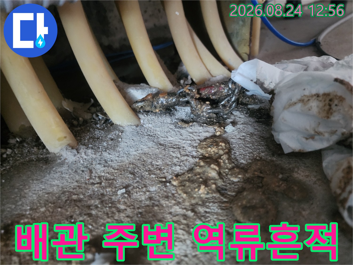 배관-주변에-하얗게-쌓인-역류된-이물질