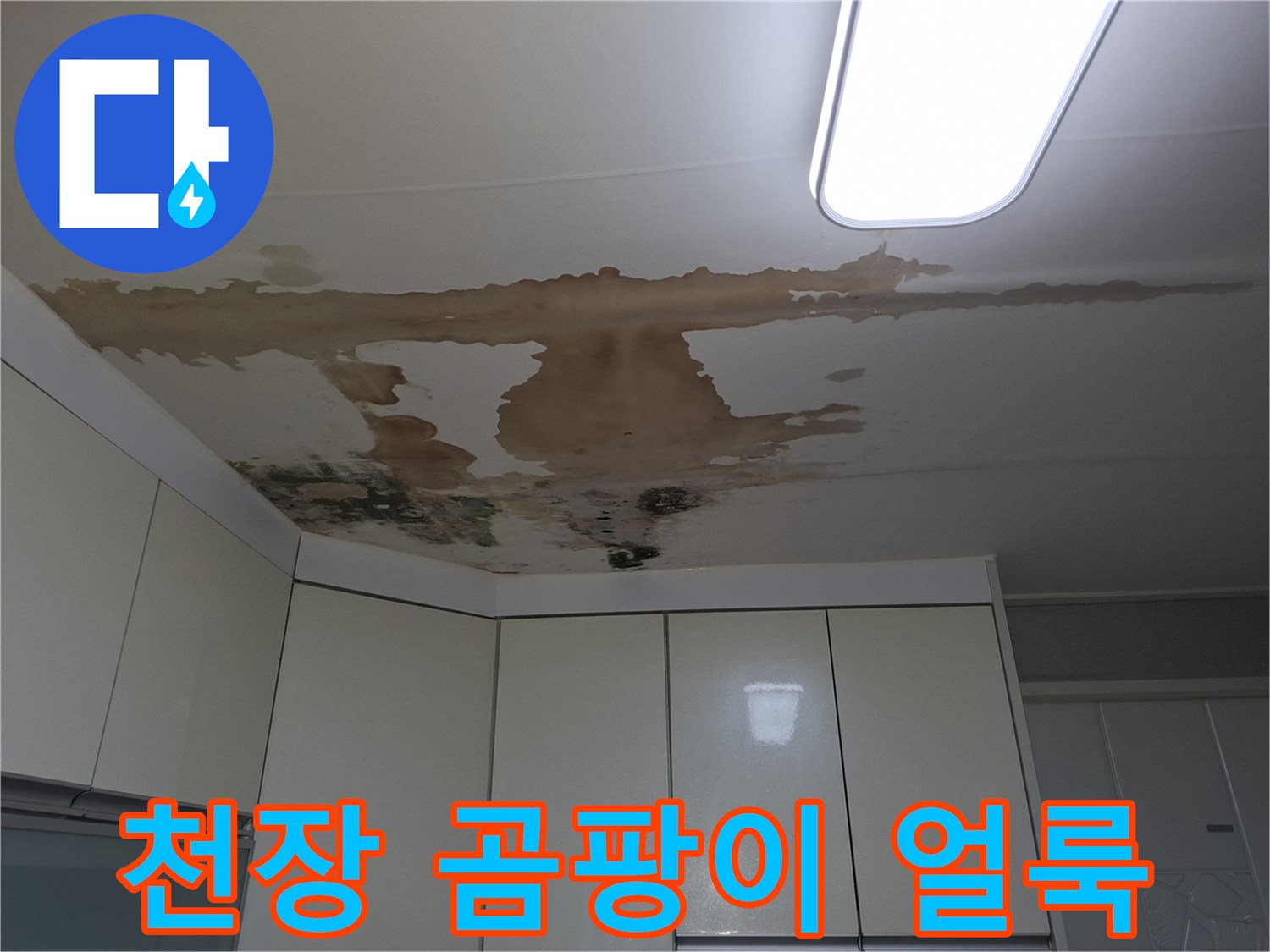 천장 마감재에 나타난 누수 흔적과 곰팡이 번식 현상